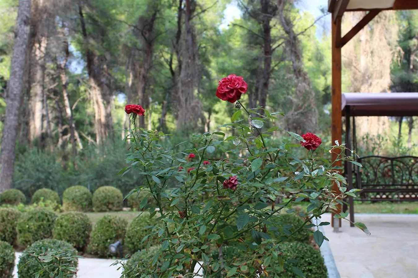 Asteri Villa, Sani Luxury Villas Collection Sani (Chalkidiki)